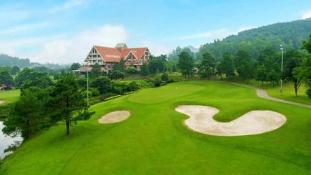 sân golf miền Bắc 
