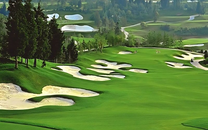 Sunshine-Golf-Club-3