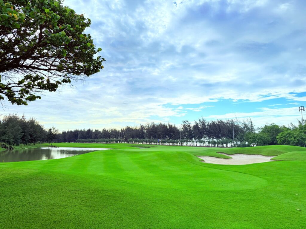 sân golf 