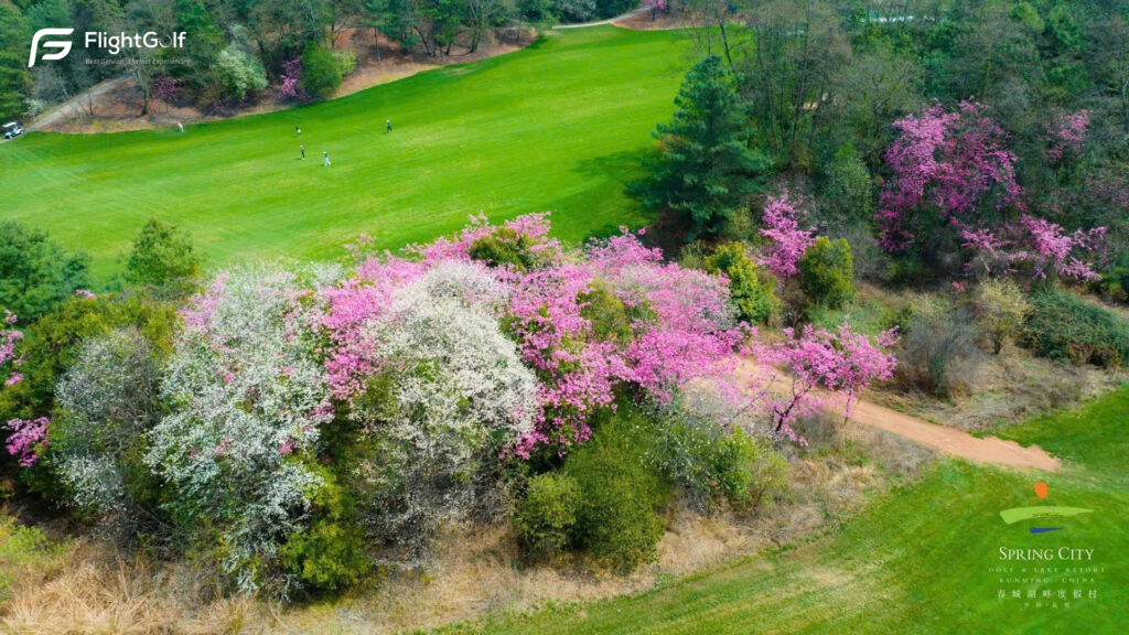 thi đấu tour golf quốc tế