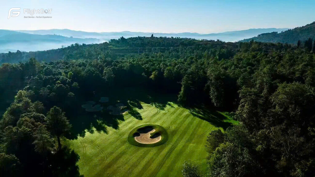 chơi golf 