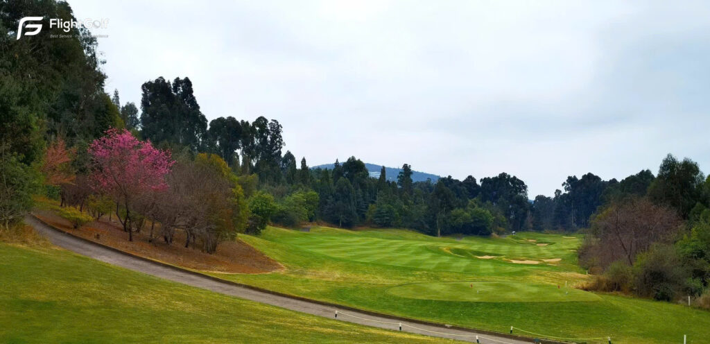 chơi golf 