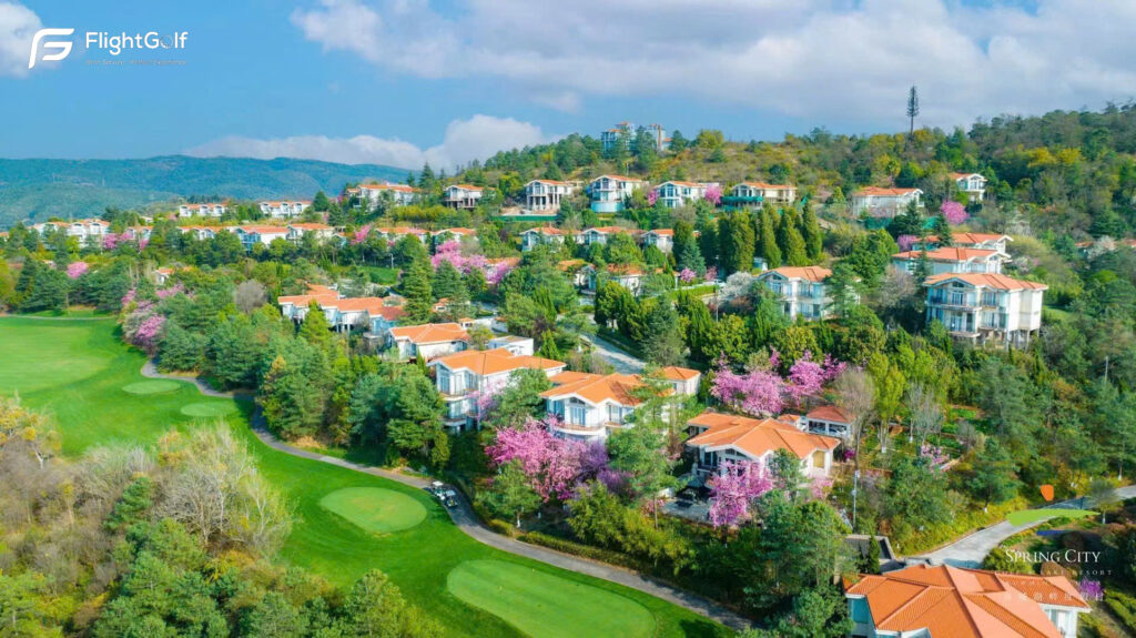 thi đấu tour golf quốc tế